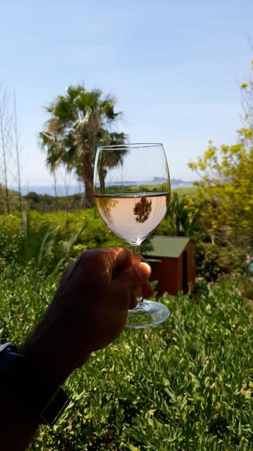 Gite Vue Mer La Cadiere-d'Azur Exteriör bild