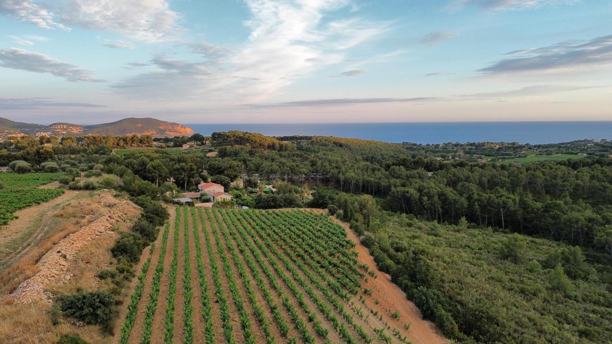 Gite Vue Mer La Cadiere-d'Azur Exteriör bild
