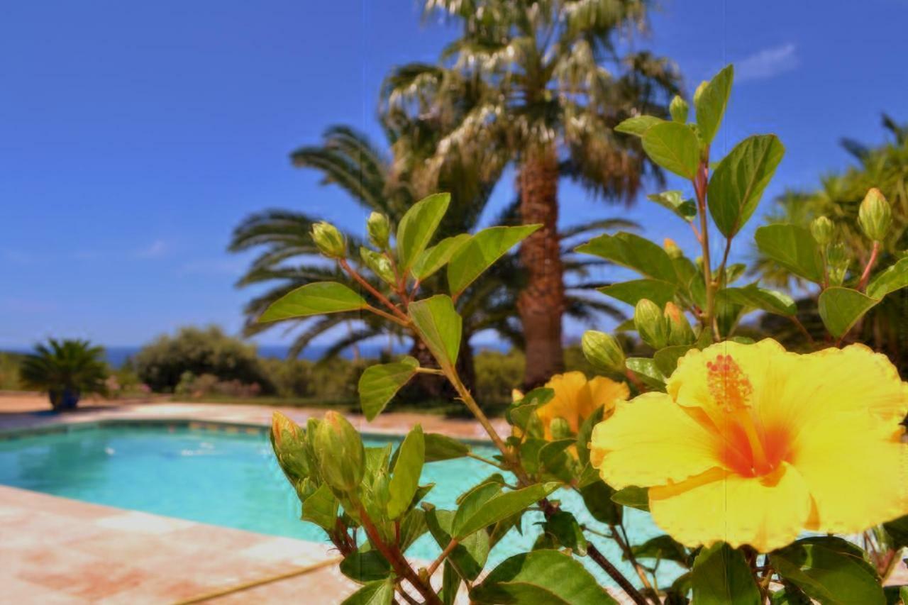 Gite Vue Mer La Cadiere-d'Azur Exteriör bild